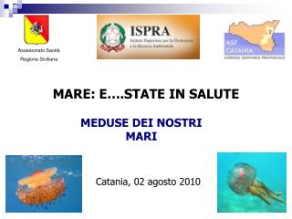 MEDUSE DEI NOSTRI MARI