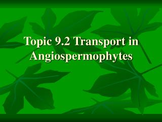 Topic 9.2 Transport in Angiospermophytes