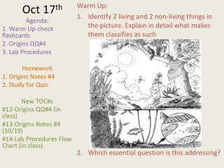 Oct 17 th