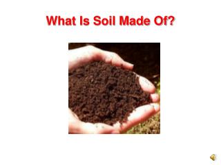 What Is Soil Made Of?