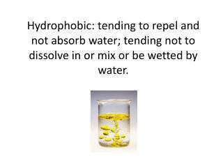 Hydrophilic: tending to dissolve in, mix with, or be wetted by water.