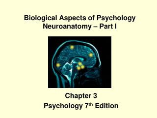 Biological Aspects of Psychology Neuroanatomy – Part I