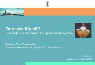 One size fits all? How unitary is the present European patent system?