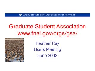Graduate Student Association fnal/orgs/gsa/