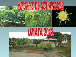 INFORME DE ACTIVIDADES UMATA 2012