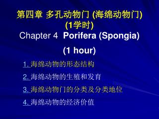 第四章 多孔动物门 ( 海绵动物门 ) (1 学时 ) Chapter 4 Porifera (Spongia) (1 hour) 1. 海绵动物的形态结构 2. 海绵动物的生殖和发育