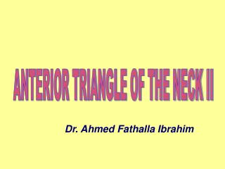 ANTERIOR TRIANGLE OF THE NECK II