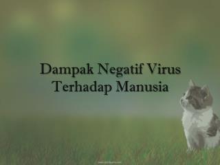 Dampak Negatif Virus Terhadap Manusia