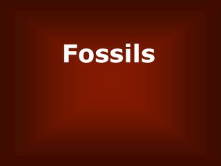 Fossils