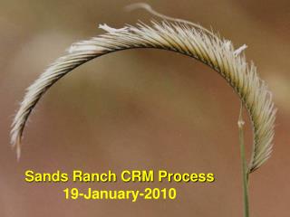 Sands Ranch CRM Process 19-January-2010