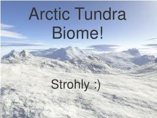 Arctic Tundra Biome!
