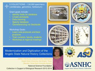 Modernization and Digitization of the Angelo State Natural History Collections