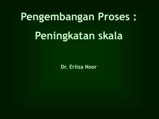 Pengembangan Proses : Peningkatan skala Dr. Erliza Noor