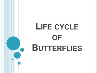Life cycle of Butterflies