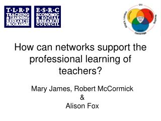 How can networks support the professional learning of teachers?