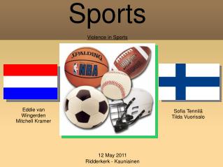Sports Violence in Sports