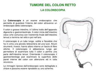 TUMORE DEL COLON RETTO LA COLONSCOPIA