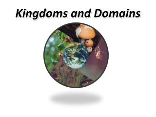 Ppt Kingdoms And Domains Powerpoint Presentation Free Download Id