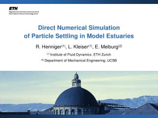 Direct Numerical Simulation of Particle Settling in Model Estuaries
