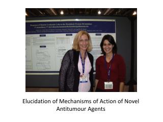 Elucidation of Mechanisms of Action of Novel Antitumour Agents