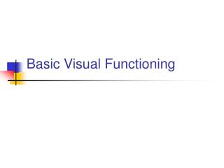 Basic Visual Functioning