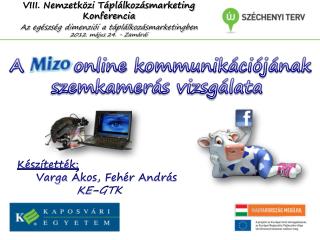 A 		online kommunikációjának szemkamerás vizsgálata 