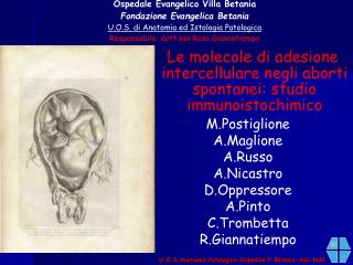 U.O.S.Anatomia Patologica-Ospedale F.Betania-ASL NA1