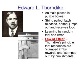 edward thorndike experiments