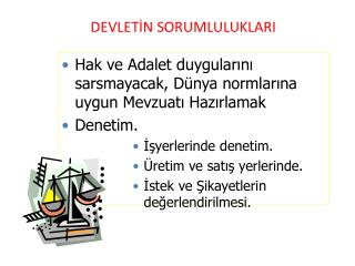 DEVLETİN SORUMLULUKLARI