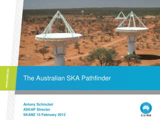 The Australian SKA Pathfinder