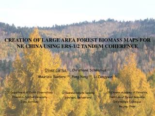 CREATION OF LARGE AREA FOREST BIOMASS MAPS FOR NE CHINA USING ERS-1/2 TANDEM COHERENCE