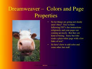 Dreamweaver – Colors and Page Properties