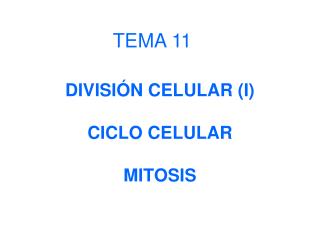 DIVISIÓN CELULAR (I) CICLO CELULAR MITOSIS