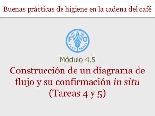 Construcción de un diagrama de flujo y su confirmación in situ (Tareas 4 y 5)