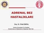 ADRENAL BEZ HASTALIKLARI