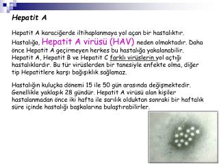 Hepatit A