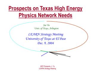 Prospects on Texas High Energy Physics Network Needs