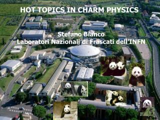 HOT TOPICS IN CHARM PHYSICS