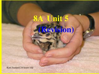 8A Unit 5 (Revision)