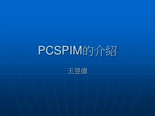 PCSPIM 的介紹