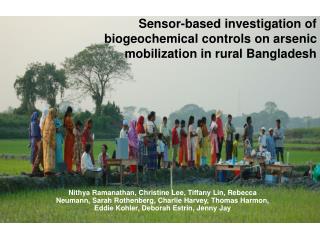 Sensor-based investigation of biogeochemical controls on arsenic mobilization in rural Bangladesh