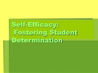 Self-Efficacy: Fostering Student Determination