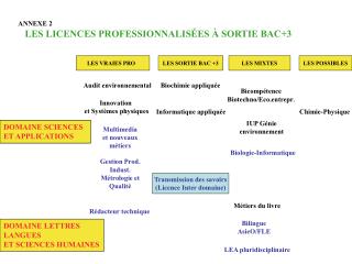 ANNEXE 2 LES LICENCES PROFESSIONNALISÉES À SORTIE BAC+3