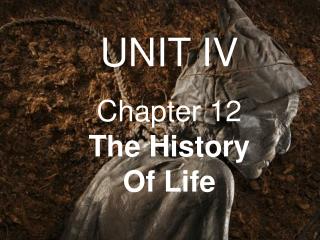 UNIT IV Chapter 12 The History Of Life