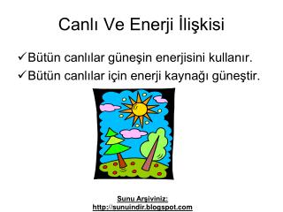 Canlı Ve Enerji İlişkisi