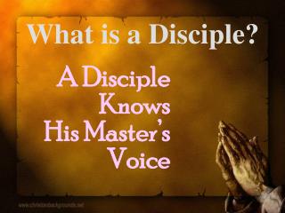 What is a Disciple?