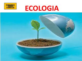 ECOLOGIA