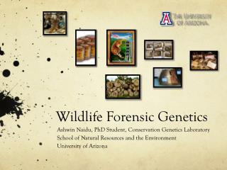 Wildlife Forensic Genetics