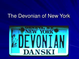 The Devonian of New York