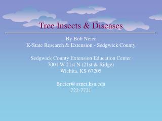 Tree Insects &amp; Diseases